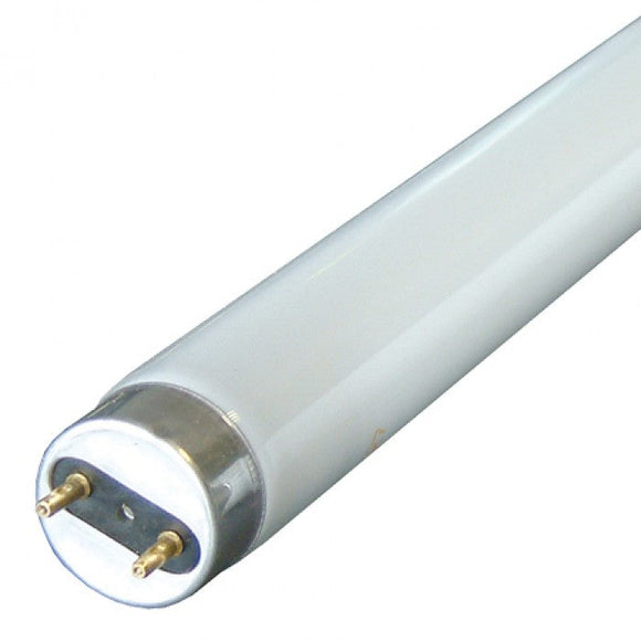 18W 2FT Fluorescent T8 Cool White 4000k - Online Electrical